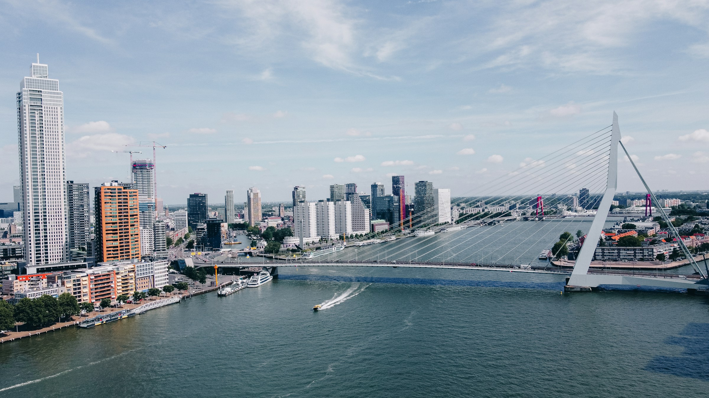 Rotterdam’s waterfront and Erasmus Bridge
